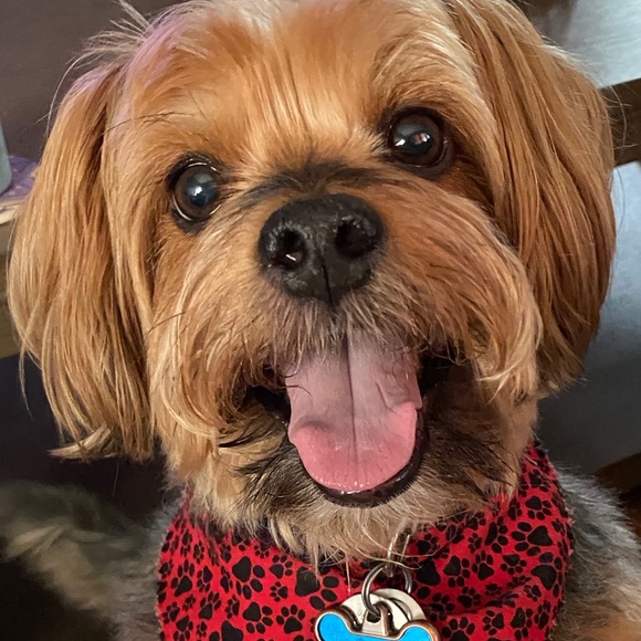 Meet your Posher, Annette - Picture 1 of 1